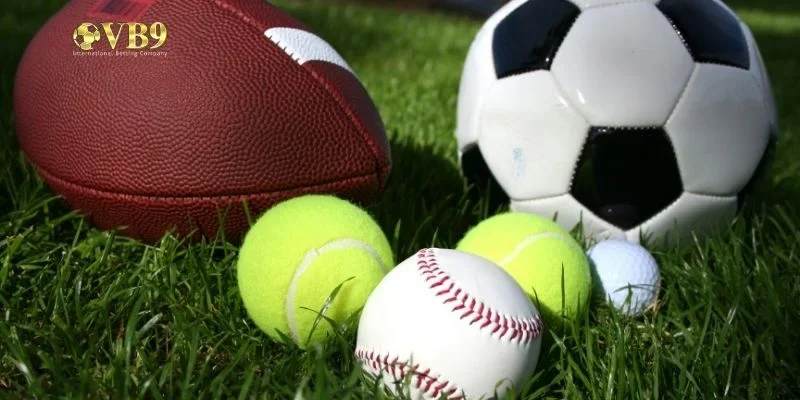 Danh sách các môn thể thao đa dạng được săn đón